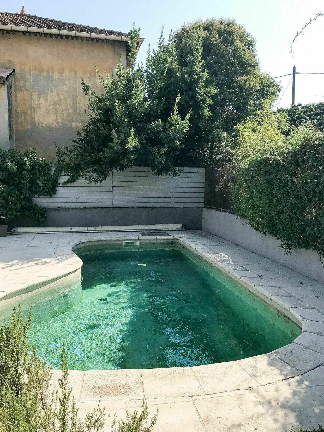 Palmeira, Piscine - Parking - Clim Arles Esterno foto